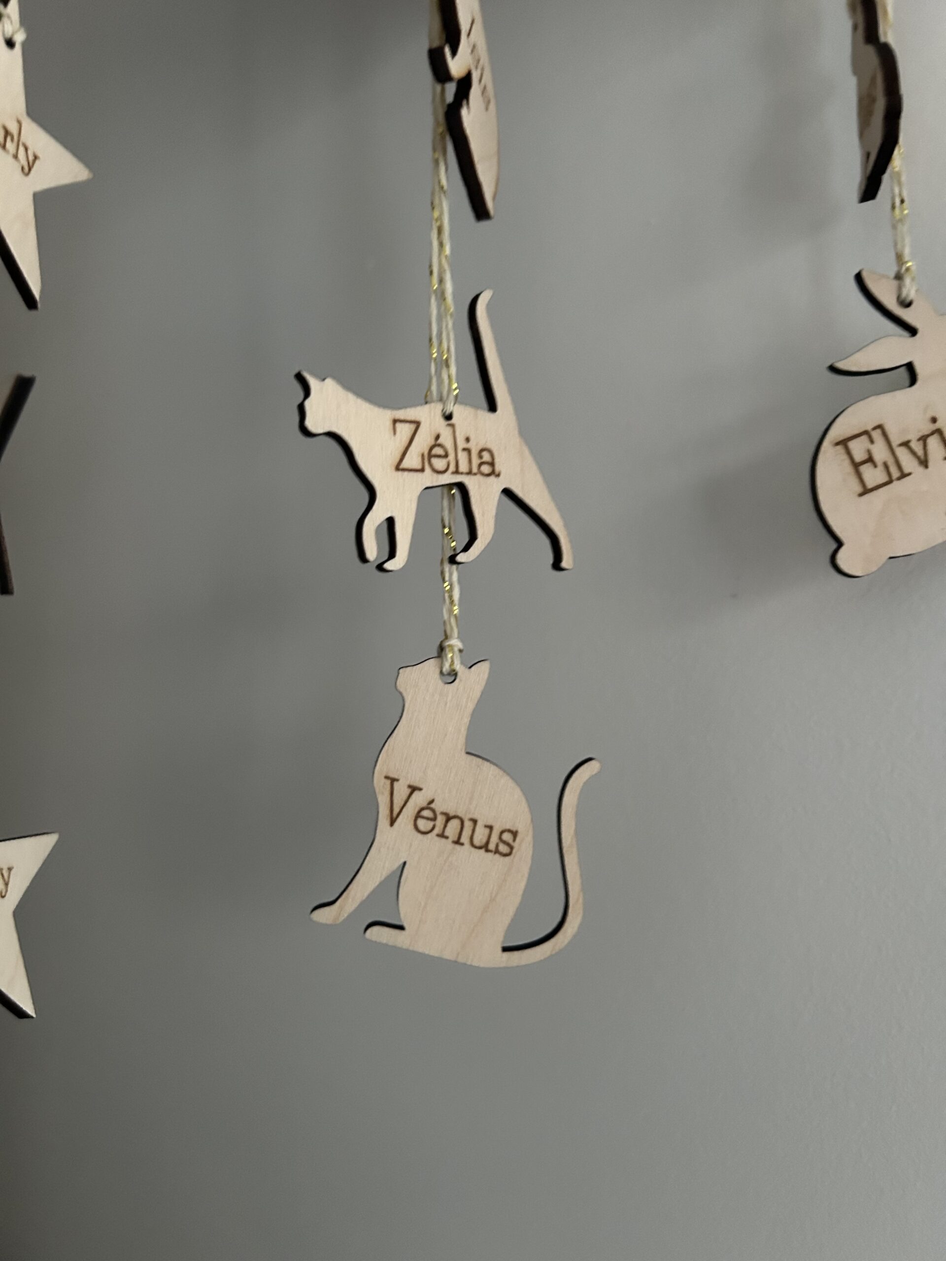 Plaque décorative personnalisée “Notre Famille” avec animaux – Image 4