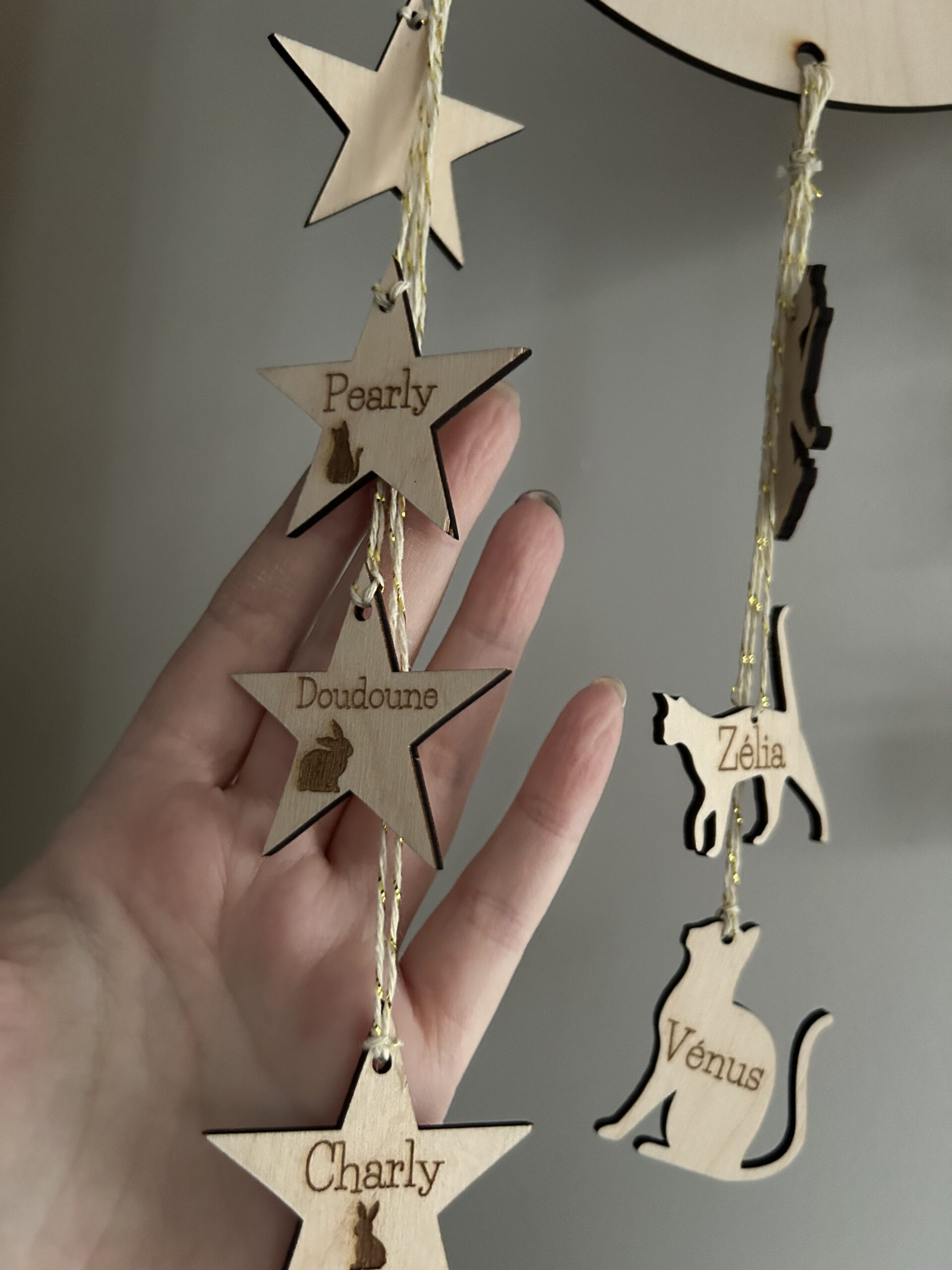 Plaque décorative personnalisée “Notre Famille” avec animaux – Image 8